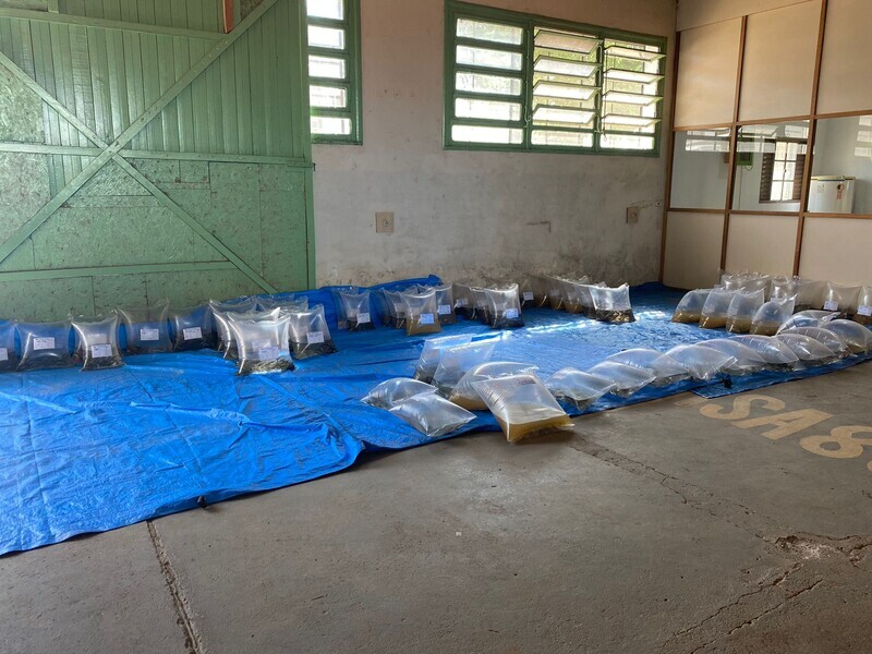 secretaria-da-agricultura-realizou-a-entrega-de-alevinos-aos-produtores-rurais