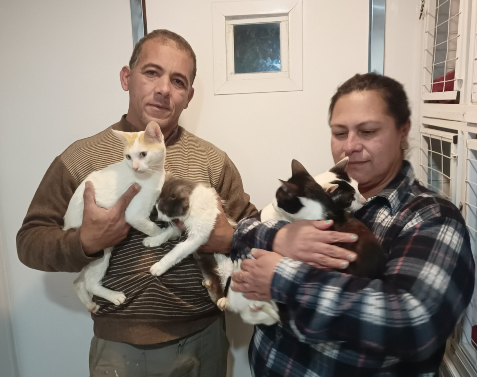 MEDIDA SITE  (10).png