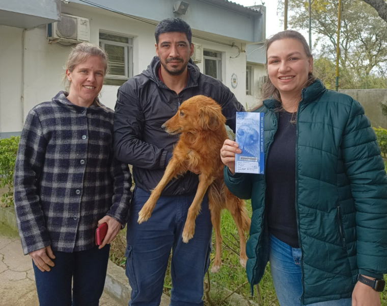 atendimentos-veterinarios-beneficiam-mais-de-150-familias-e-alcancam-468-animais-em-rosario-do-sul-em-2025