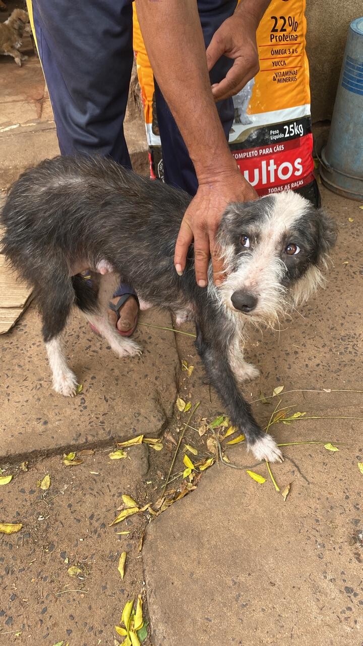 WhatsApp Image 2026-02-12 at 13.07.43 (2).jpeg