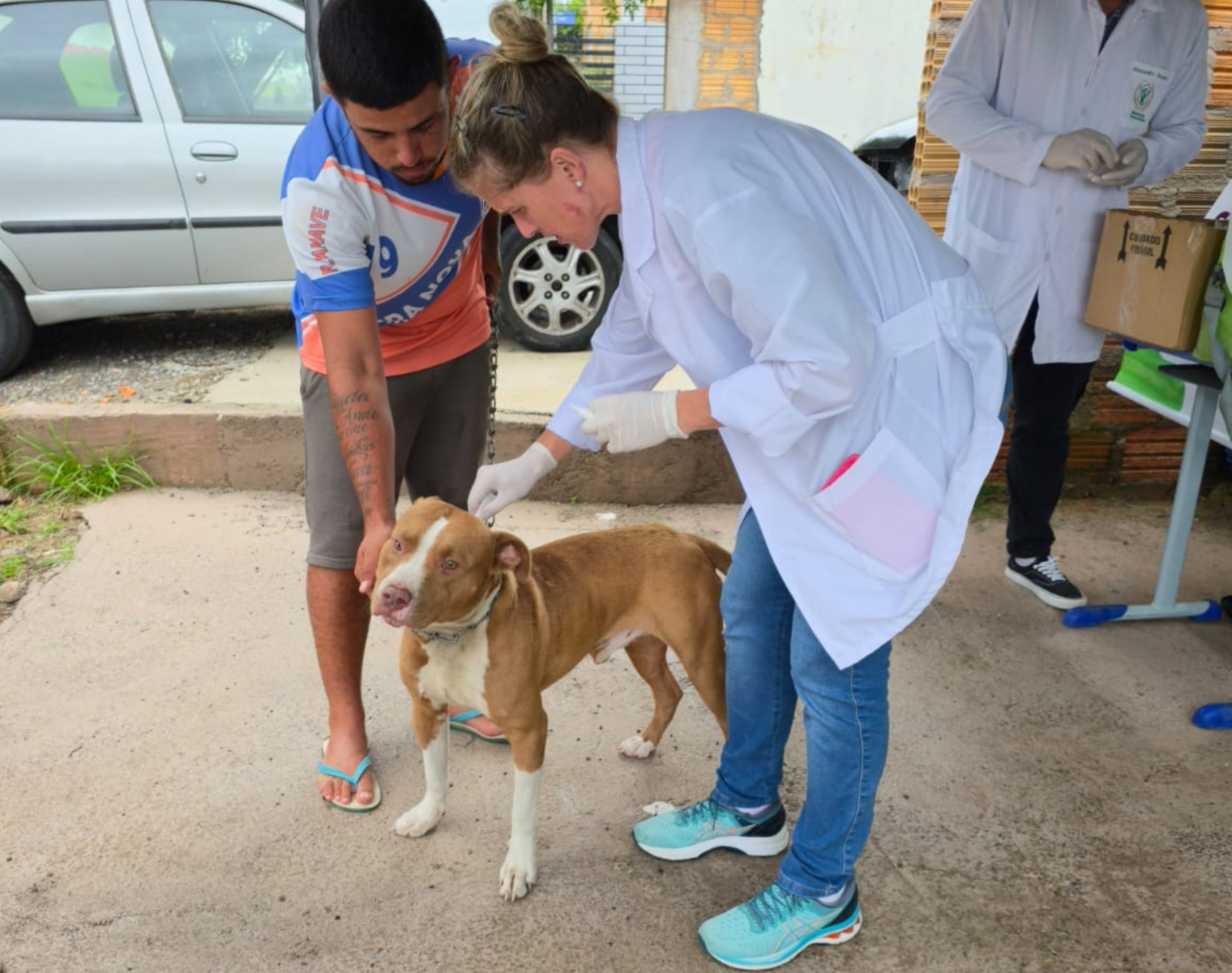 MEDIDA SITE  - 2026-04-16T125643.954.png