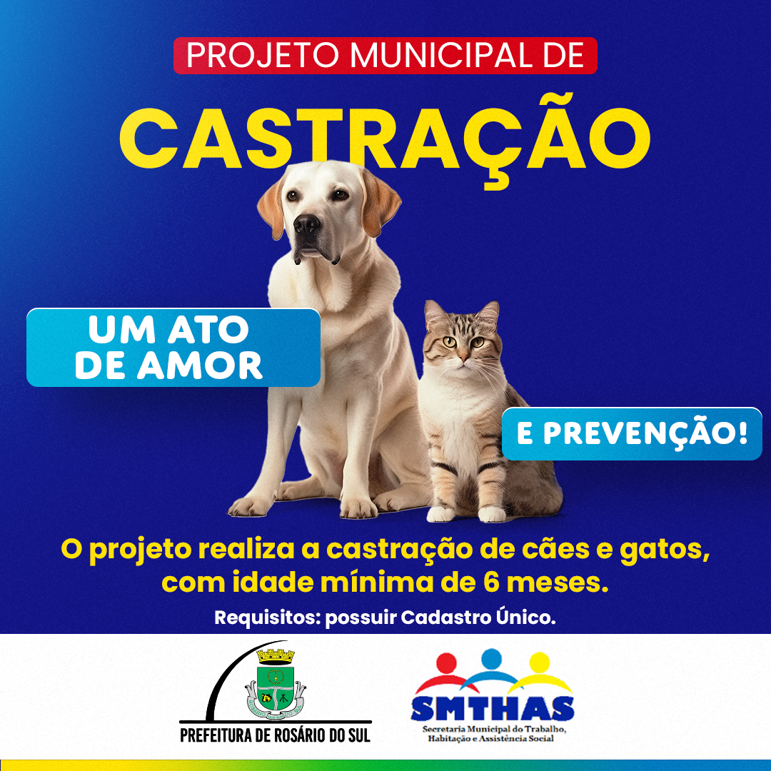 prefeitura-de-rosario-do-sul-realiza-projeto-de-castracao-em-caes-e-gatos