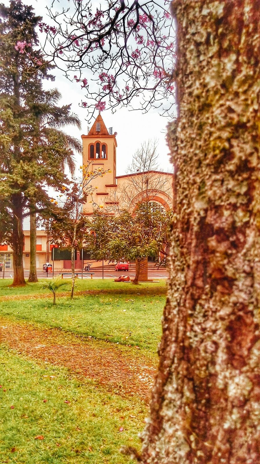 paroquia-nossa-senhora-do-rosario