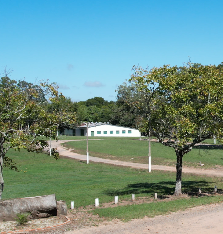 Captura de tela 2025-05-09 090353.png